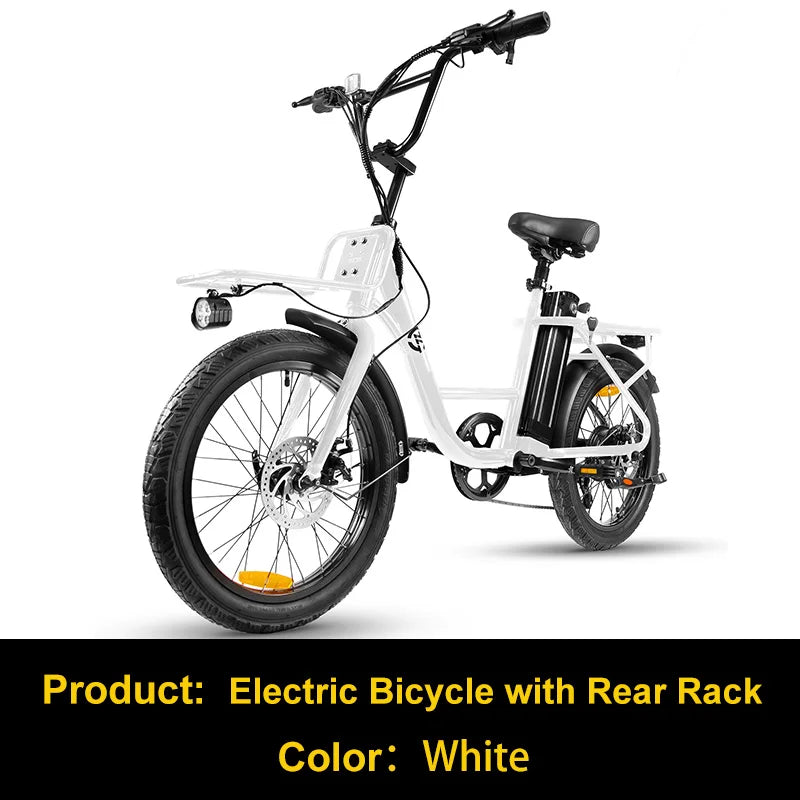 Charger 750W Fat Tire Electric Bike With Rear Rack