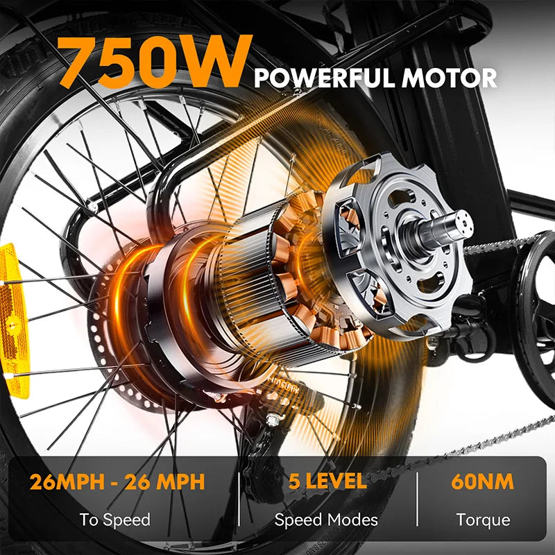 Charger 750W Fat Tire Electric Bike With Rear Rack