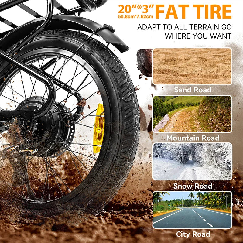 Charger 750W Electric Bike For Adults With Rear Rack