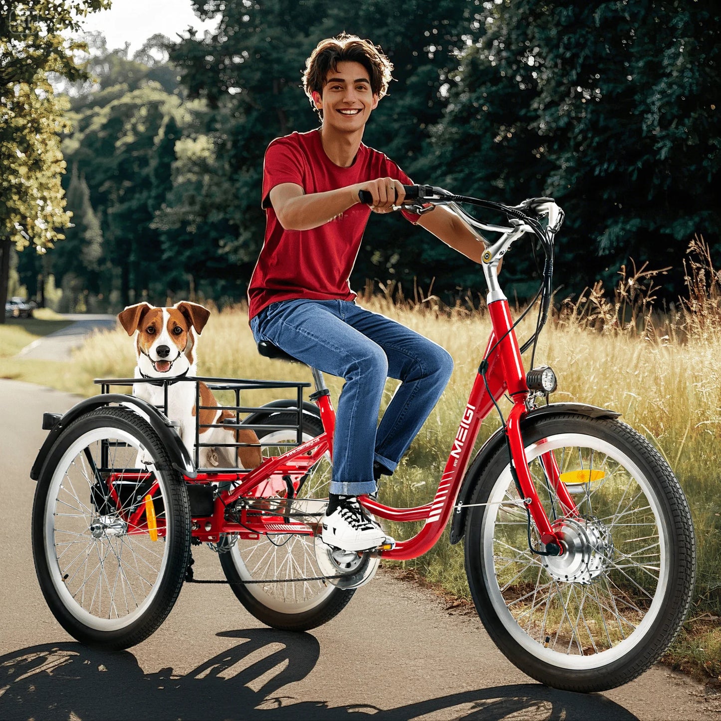 HignConcerned 3 Wheel Electric Cargo Tricycle 750W