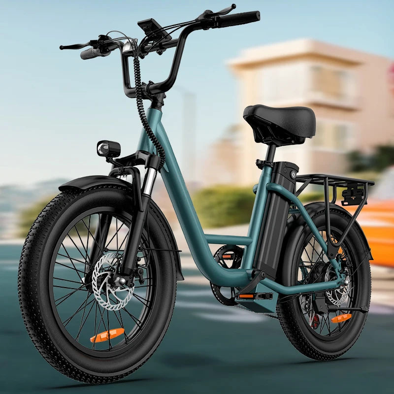 URLIFE 1000W Fat Tire Electric Bike 48V Removable Battery