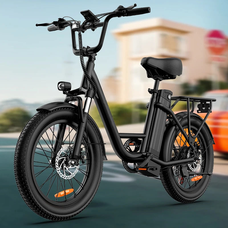 URLIFE 1000W Fat Tire Electric Bike 48V Removable Battery