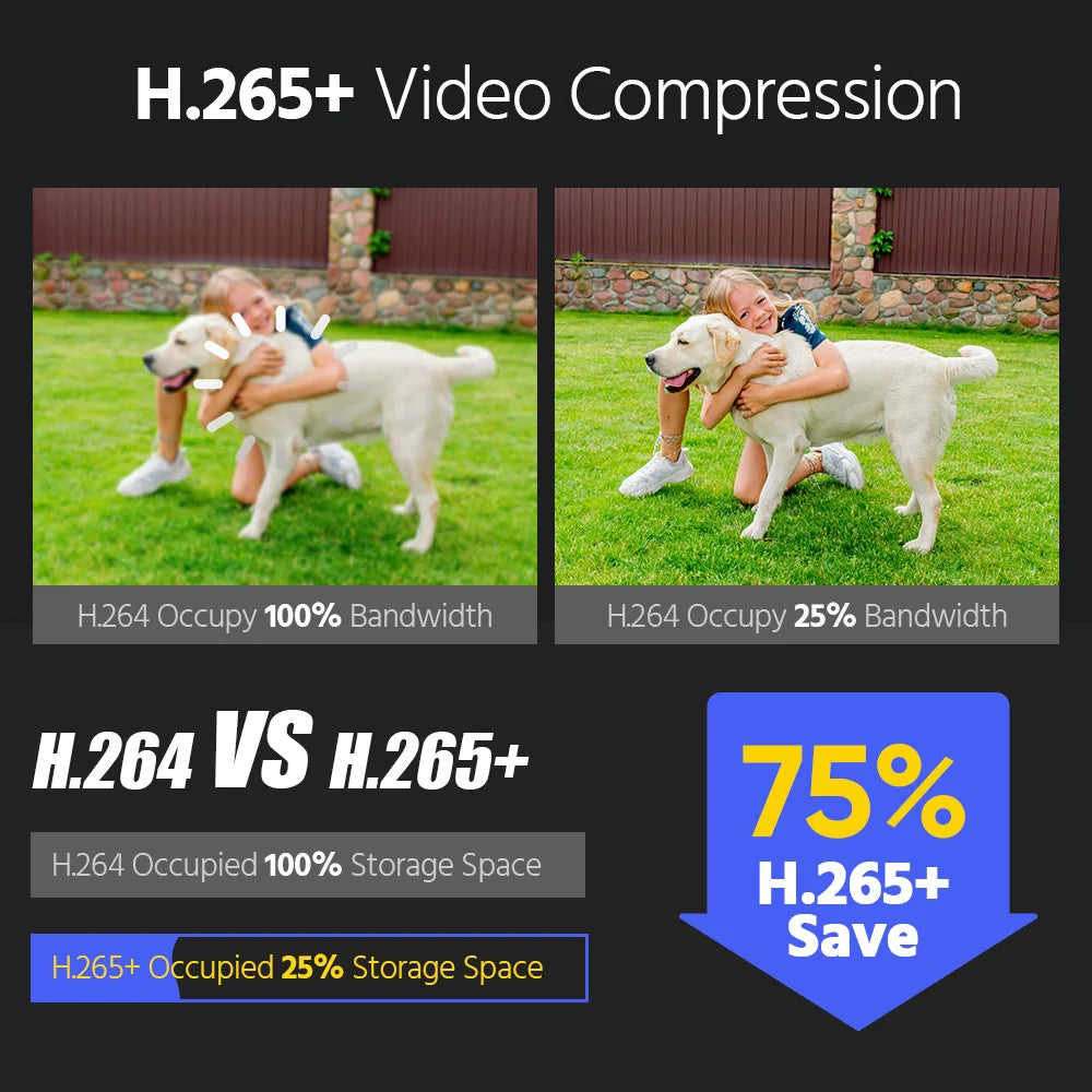 Annke 12MP POE HD Security Camera Dual Light H265 Plus IP