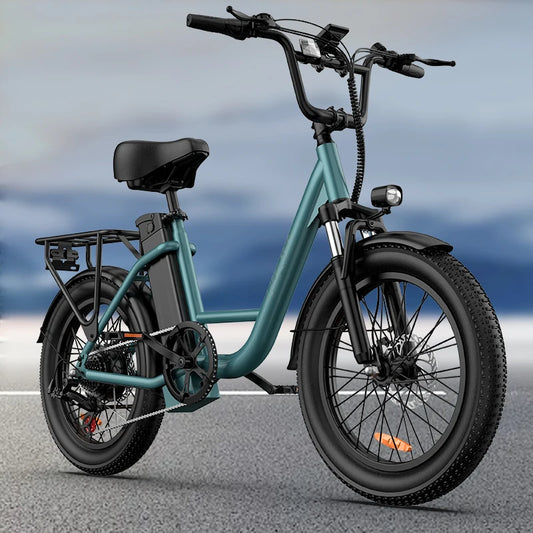 URLIFE 1000W Fat Tire Electric Bike 48V Removable Battery