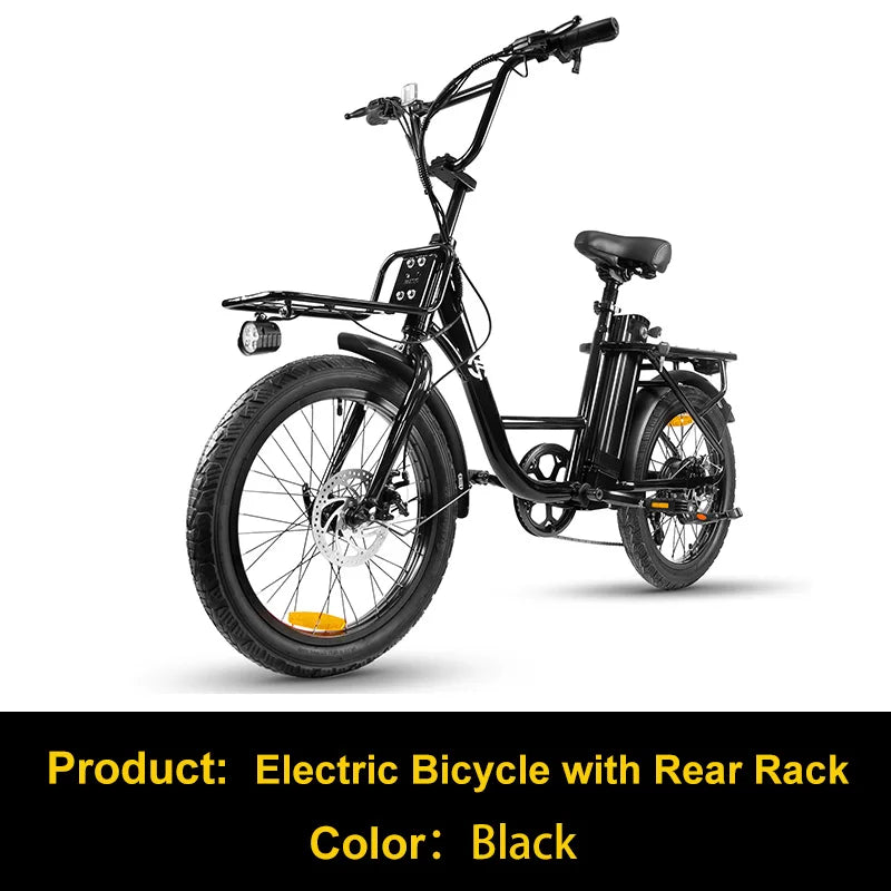 Charger 750W Fat Tire Electric Bike With Rear Rack