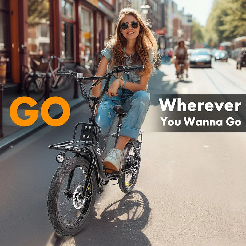 Charger 750W Fat Tire Electric Bike With Rear Rack